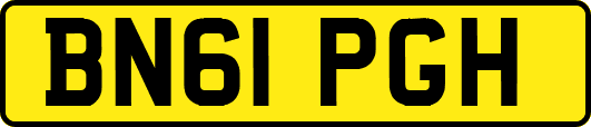 BN61PGH