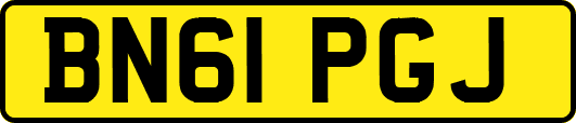 BN61PGJ