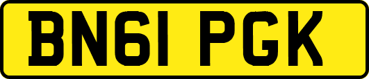BN61PGK