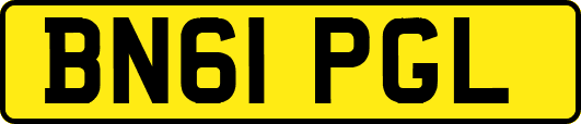 BN61PGL