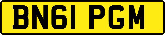 BN61PGM