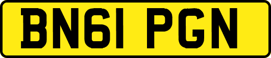 BN61PGN