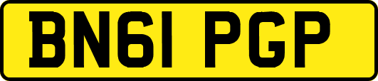 BN61PGP