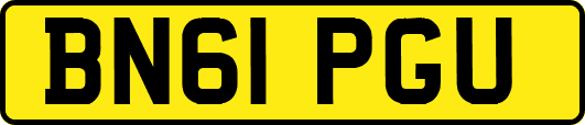 BN61PGU