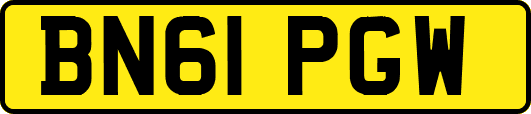 BN61PGW