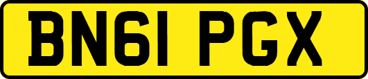 BN61PGX