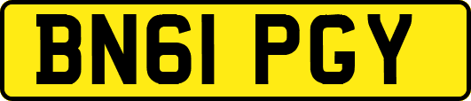 BN61PGY