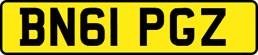 BN61PGZ