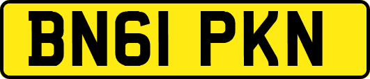 BN61PKN
