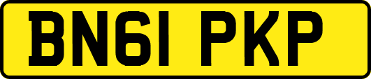 BN61PKP