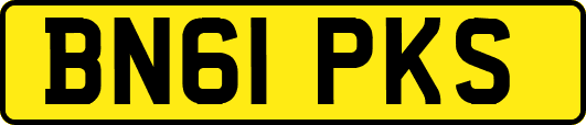 BN61PKS