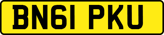 BN61PKU