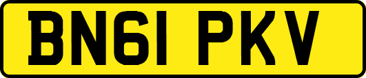 BN61PKV