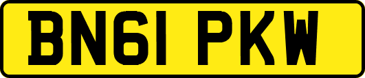 BN61PKW