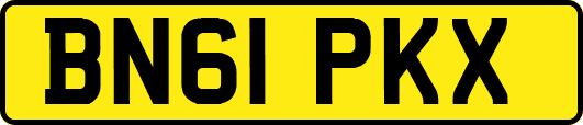 BN61PKX