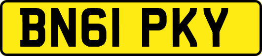 BN61PKY