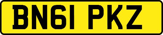 BN61PKZ