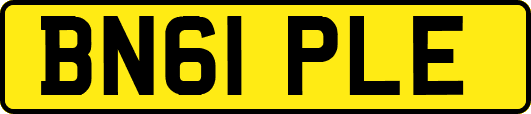 BN61PLE