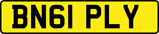 BN61PLY