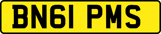 BN61PMS