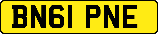 BN61PNE
