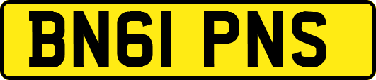 BN61PNS