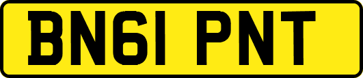 BN61PNT
