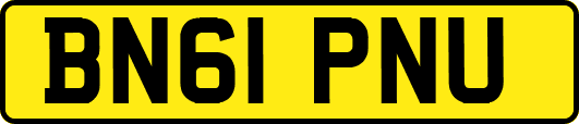 BN61PNU