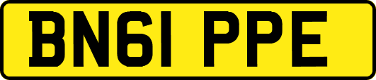 BN61PPE