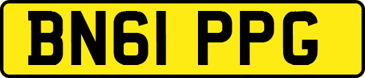 BN61PPG