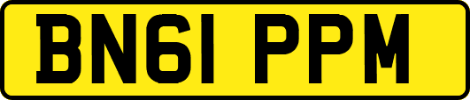 BN61PPM