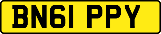 BN61PPY