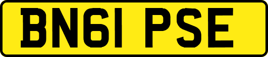 BN61PSE