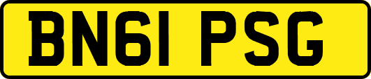 BN61PSG
