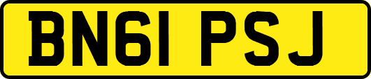 BN61PSJ