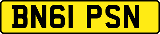 BN61PSN