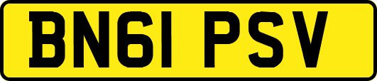 BN61PSV