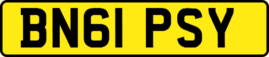 BN61PSY