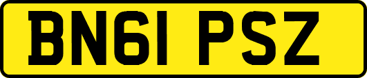 BN61PSZ