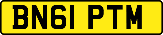 BN61PTM