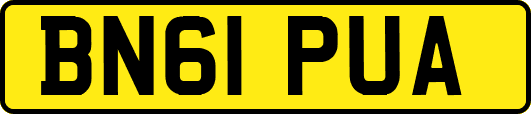 BN61PUA