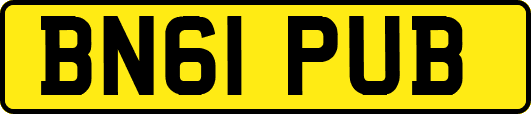 BN61PUB