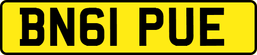 BN61PUE