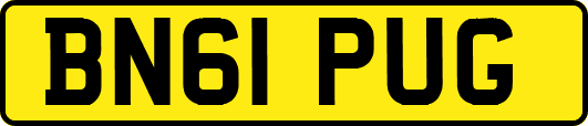 BN61PUG