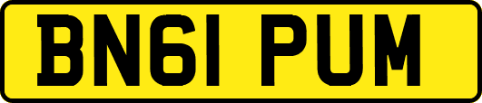 BN61PUM