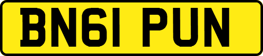 BN61PUN