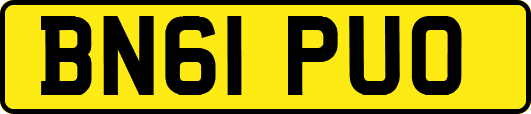 BN61PUO