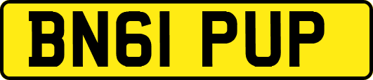 BN61PUP