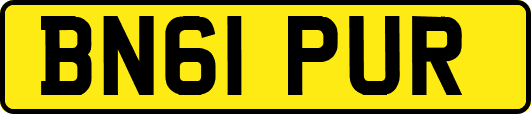 BN61PUR