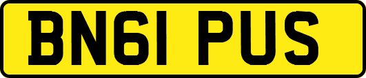 BN61PUS